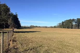910 Line Creek Rd, Senoia, GA 30276 - Photo 49