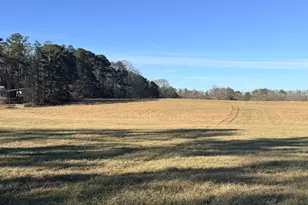 910 Line Creek Rd, Senoia, GA 30276 - Photo 45