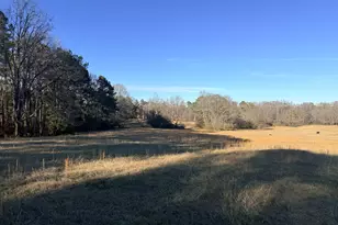 910 Line Creek Rd, Senoia, GA 30276 - Photo 5