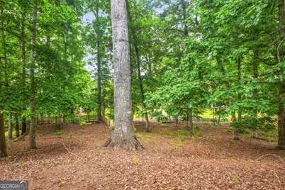 25 The Terrace, Newnan, GA 30263 - Photo 37