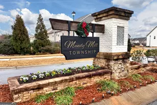 3642 Canyon Springs Rd, Oakwood, GA 30566 - Photo 41