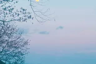 271 Limelight Dr, Clayton, GA 30525 - Photo 25