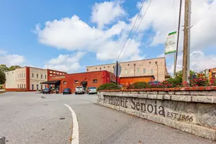 45 Bridge St, Senoia, GA 30276 - Photo 19