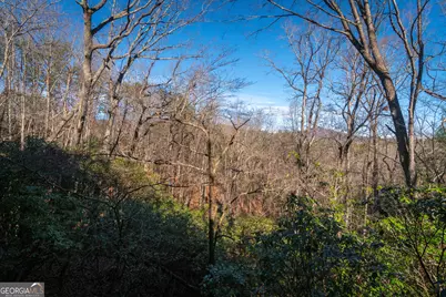 722 Woodbrier, Sautee Nacoochee, GA 30571 - Photo 99