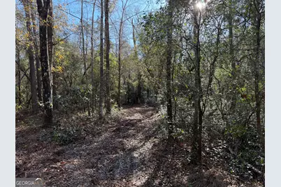 3833 Old Louisville Road, Guyton, GA 31312 - Photo 1