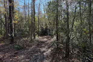 3833 Old Louisville Rd, Guyton, GA 31312 - Photo 1