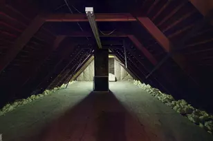 302 W 7th St, Louisville, GA 30434 - Photo 63