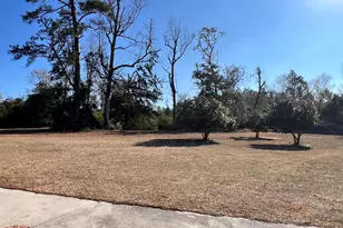 343 W Morrison St, Mount Vernon, GA 30445 - Photo 21