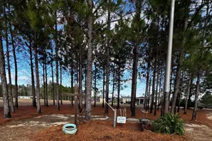 4037 Fairhaven Dr, Collins, GA 30421 - Photo 3