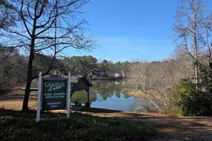328 Country Lake Dr, McDonough, GA 30252 - Photo 29