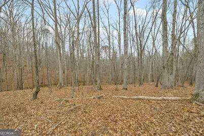 2460 Antioch Church Road, Watkinsville, GA 30677 - Photo 33