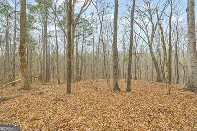 2460 Antioch Church Road, Watkinsville, GA 30677 - Photo 31