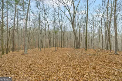 2460 Antioch Church Road, Watkinsville, GA 30677 - Photo 29