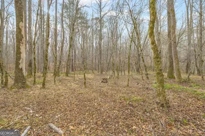 2460 Antioch Church Road, Watkinsville, GA 30677 - Photo 37