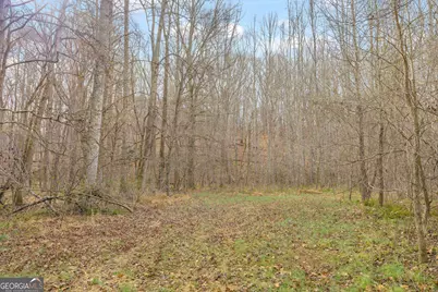 2460 Antioch Church Road, Watkinsville, GA 30677 - Photo 41