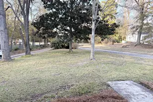 403 Broxton Ln, Manchester, GA 31816 - Photo 47