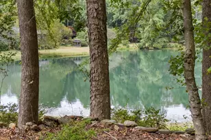 4394 Holly Springs Rd, Pendergrass, GA 30567 - Photo 73