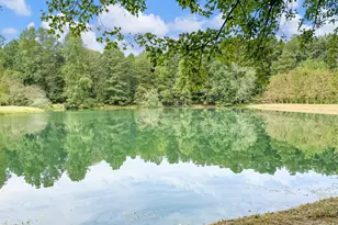 4394 Holly Springs Rd, Pendergrass, GA 30567 - Photo 77