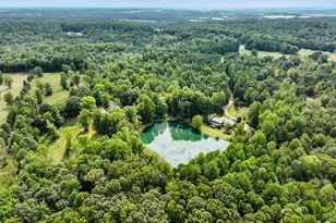 4394 Holly Springs Rd, Pendergrass, GA 30567 - Photo 53