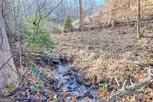 1160 Long Ridge Rd, Hiawassee, GA 30546 - Photo 5