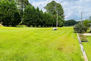 341 Sanders-Davis Rd, Newnan, GA 30263 - Photo 27