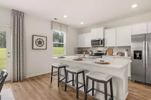 330 Friendship Oak Wy, Hampton, GA 30228 - Photo 7