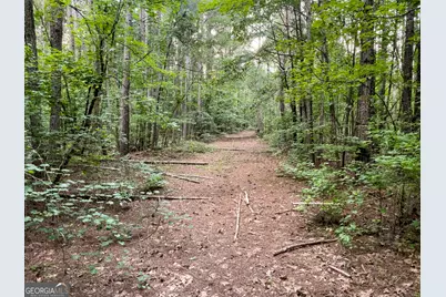 0 Caney Head Road, Roopville, GA 30170 - Photo 11