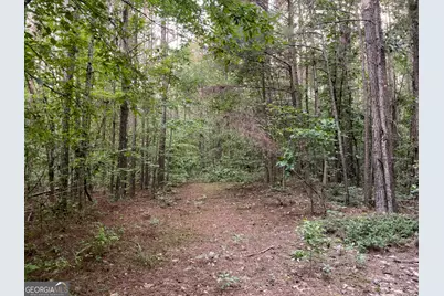 0 Caney Head Road, Roopville, GA 30170 - Photo 17