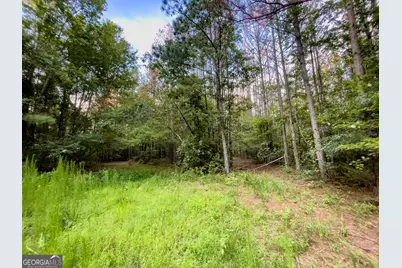 0 Caney Head Road, Roopville, GA 30170 - Photo 15