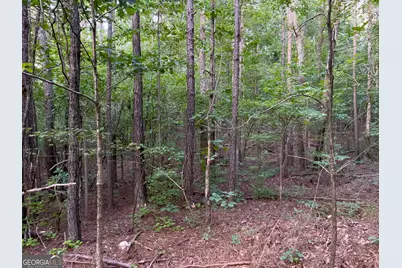 0 Caney Head Road, Roopville, GA 30170 - Photo 19