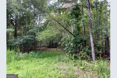 0 Caney Head Road, Roopville, GA 30170 - Photo 13