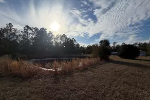 1180 Farm Rd, Saint George, GA 31562 - Photo 3