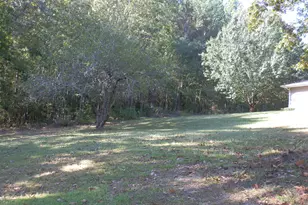 3365 Crider Rd, Rocky Face, GA 30740 - Photo 53