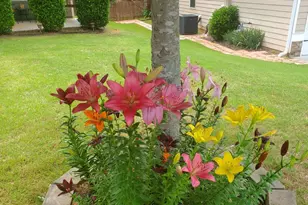 19 Windsor Way, Dallas, GA 30132 - Photo 5