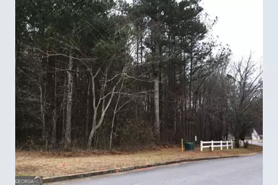 3771 Highway 34 TRACT#1, Sharpsburg, GA 30277 - Photo 5