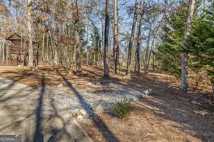 775 Riverwilde Rd, Clarkesville, GA 30523 - Photo 57