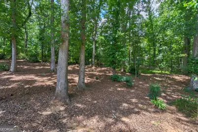 1291 Millstone Run, Watkinsville, GA 30677 - Photo 71