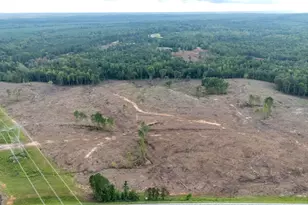 2387 Lassiter Rd, Forsyth, GA 31029 - Photo 1