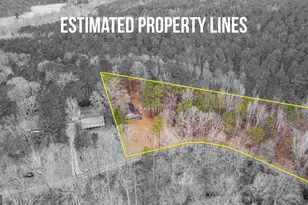 247 Tinica Way, Newnan, GA 30263 - Photo 43