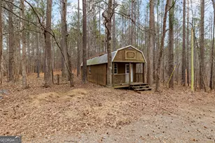 247 Tinica Way, Newnan, GA 30263 - Photo 37