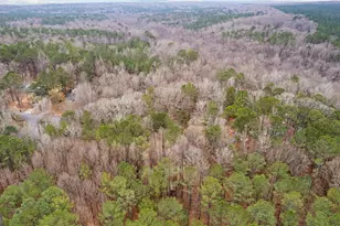 247 Tinica Way, Newnan, GA 30263 - Photo 41