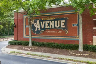 345 Staffin Dr, Senoia, GA 30276 - Photo 63