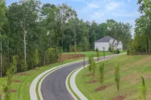 345 Staffin Dr, Senoia, GA 30276 - Photo 81