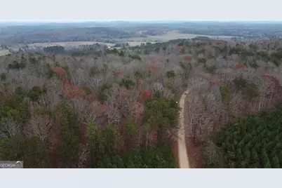 0 Treat Mountain Road, Cedartown, GA 30125 - Photo 3