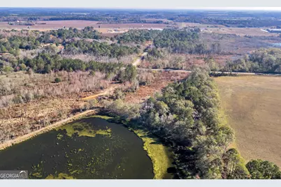 0 Randall Whiddon Drive, Ashburn, GA 31714 - Photo 9