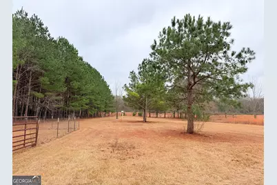 788 Ellis Road, Elko, GA 31025 - Photo 33