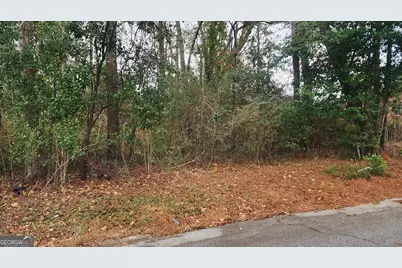 0 Champion Drive, Macon, GA 31211 - Photo 3