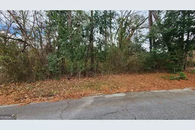 0 Champion Drive, Macon, GA 31211 - Photo 7