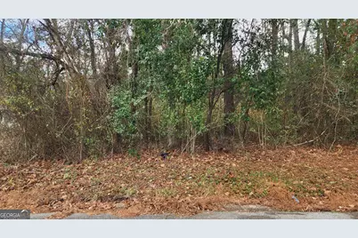 0 Champion Drive, Macon, GA 31211 - Photo 1