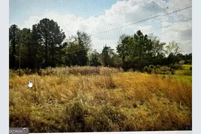 841 Griffin Road, Baxley, GA 31513 - Photo 1